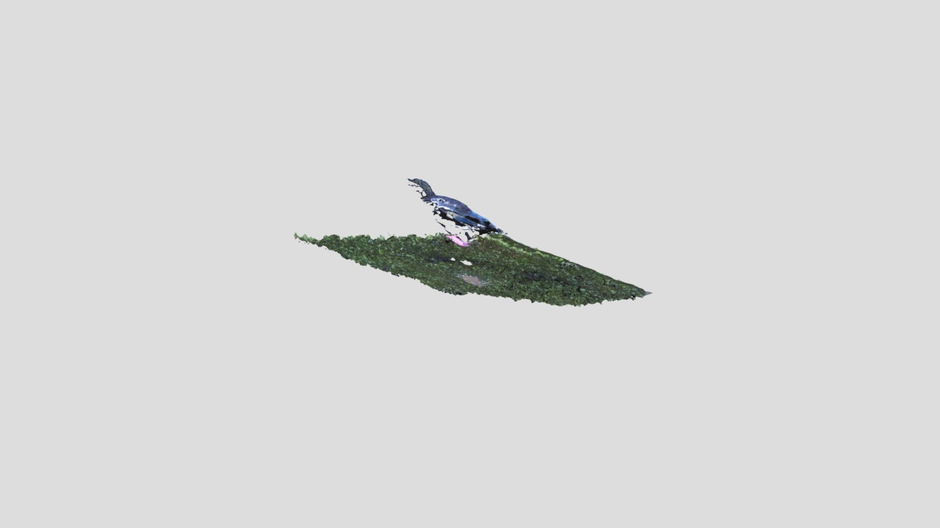 Magpie3