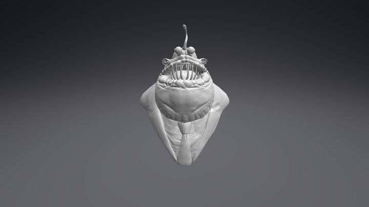 Fish Face Final 3D Model