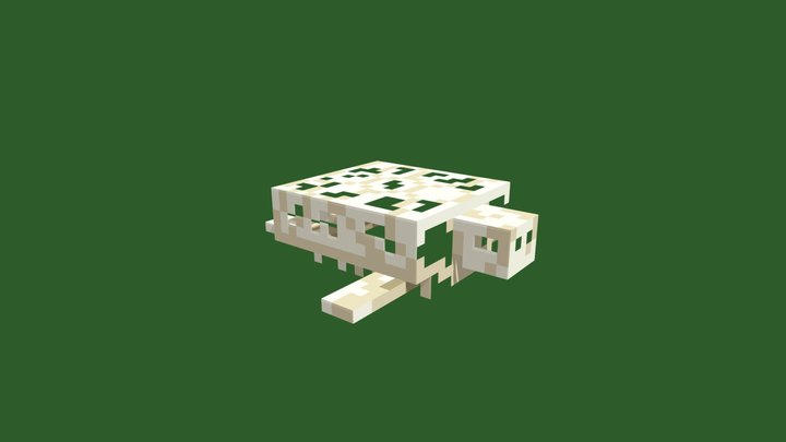 sea turtle skeleton 3D Model