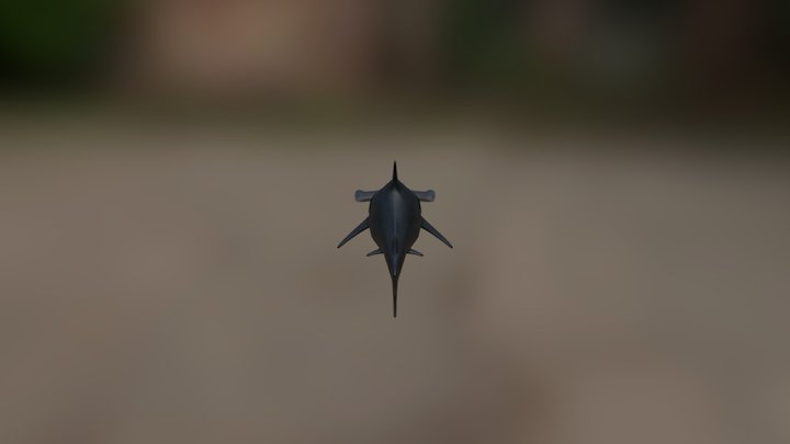 HammerHead shark 3D Model