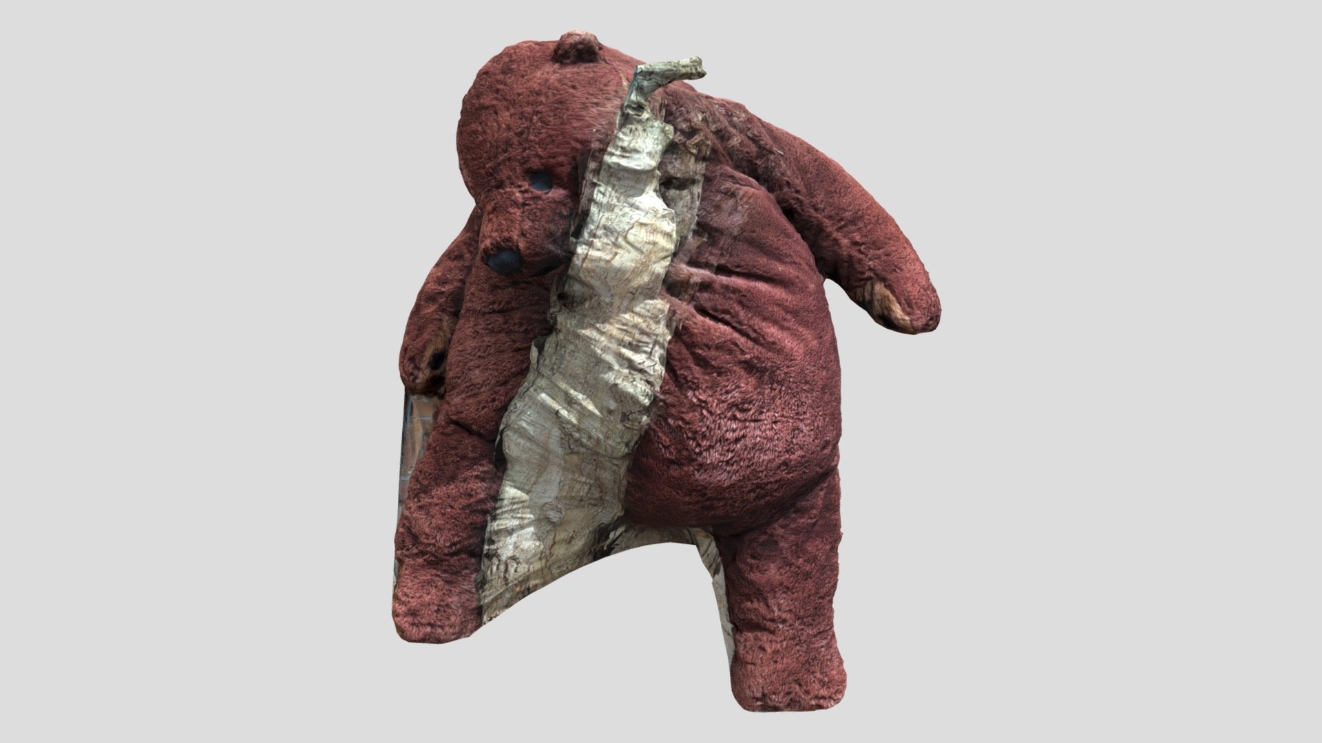 BEAR ON TREE