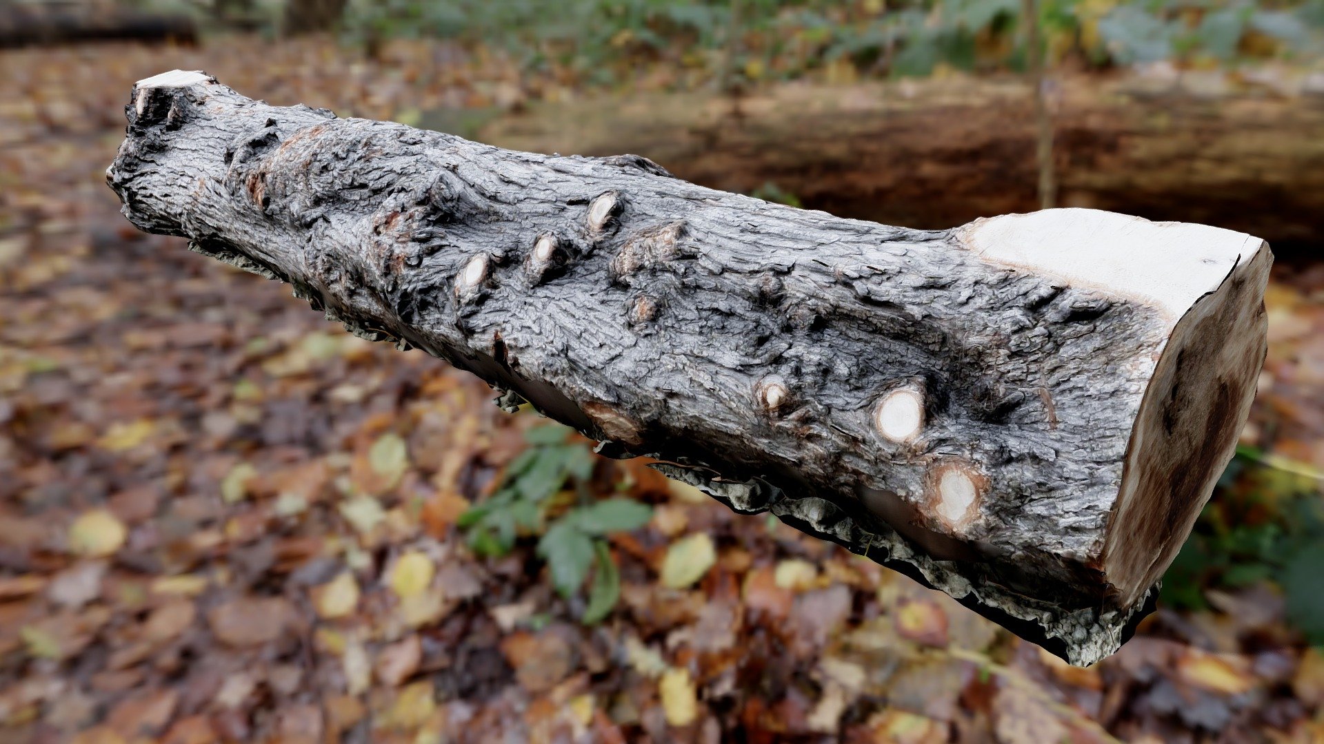 Wood bench_Free version