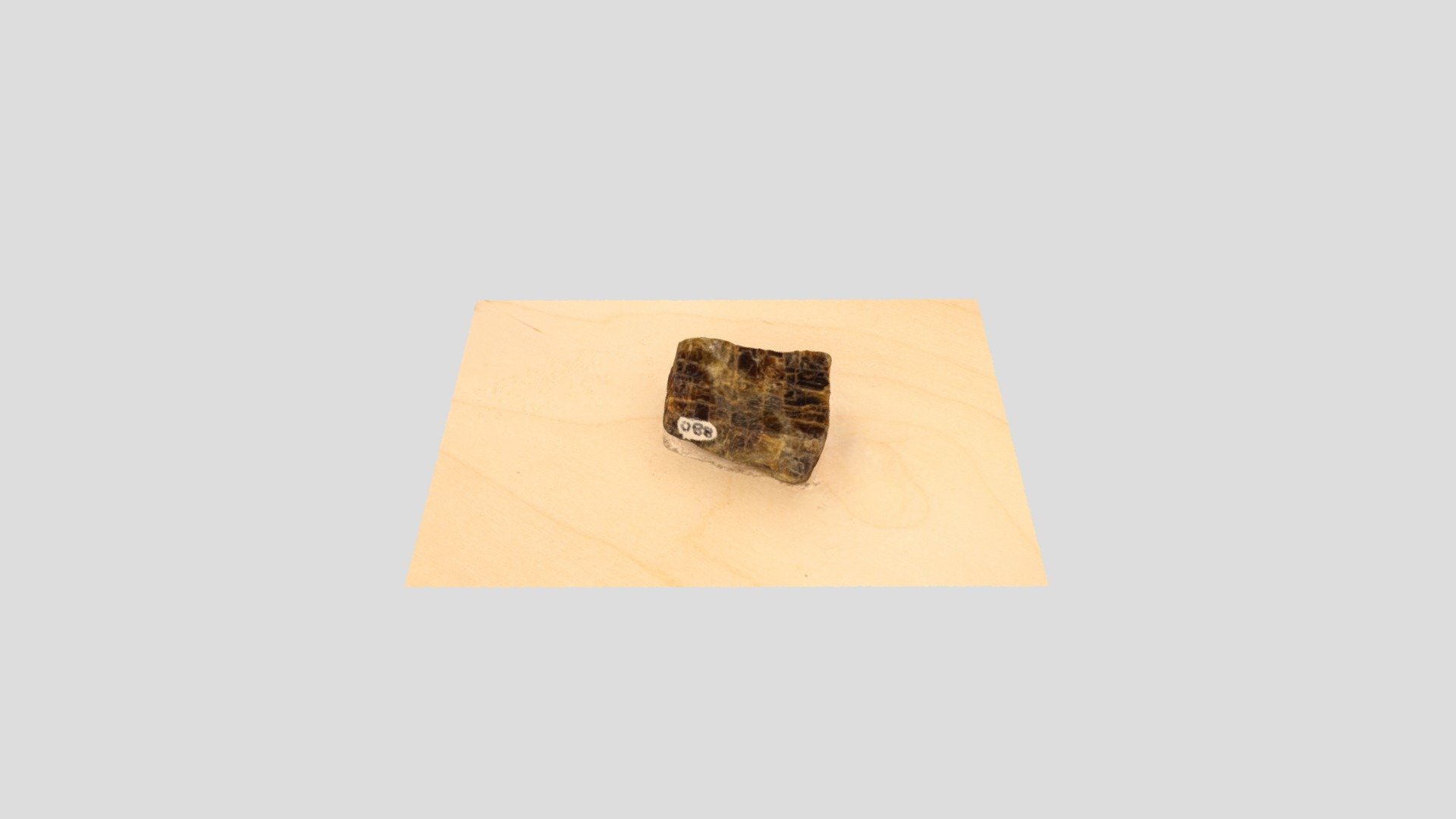 C06 Lab 03