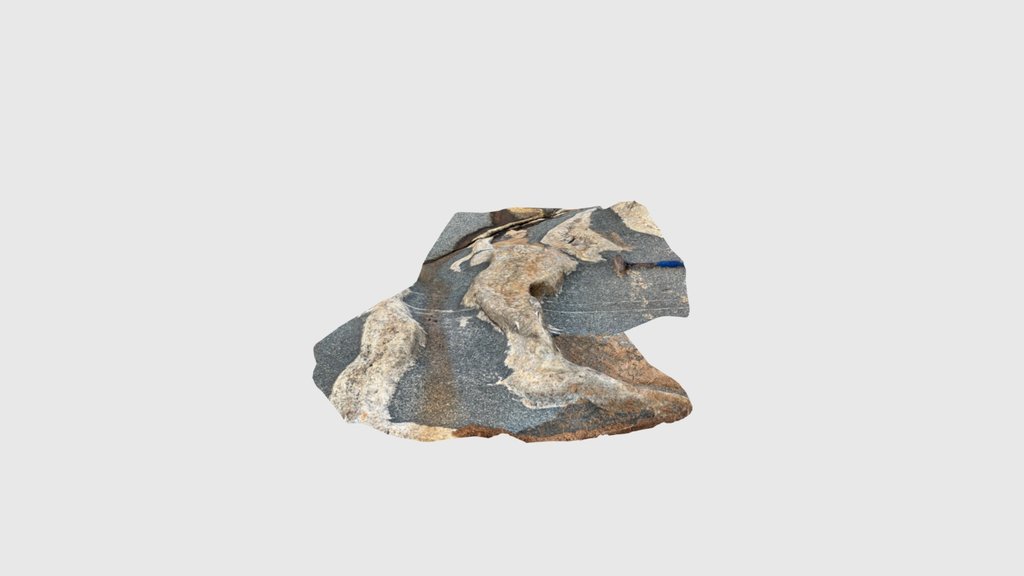 Kourou-Pegmatite plissee PA