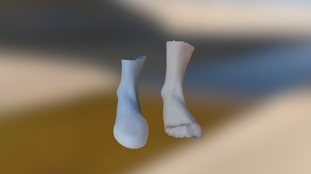 Comparaison Meunier Droit 3D Model