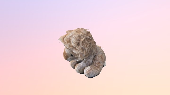 Lion Scan 3D Model