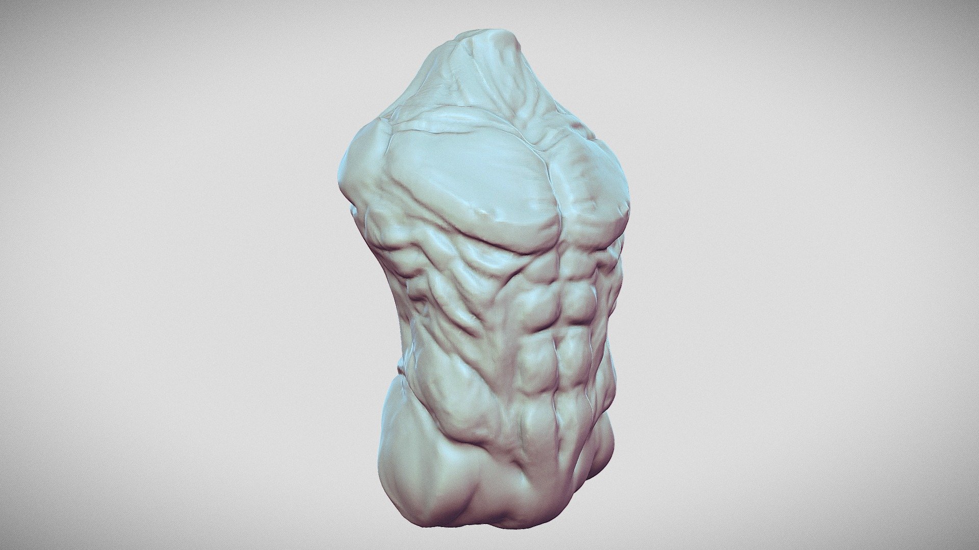 Torso Sculpt