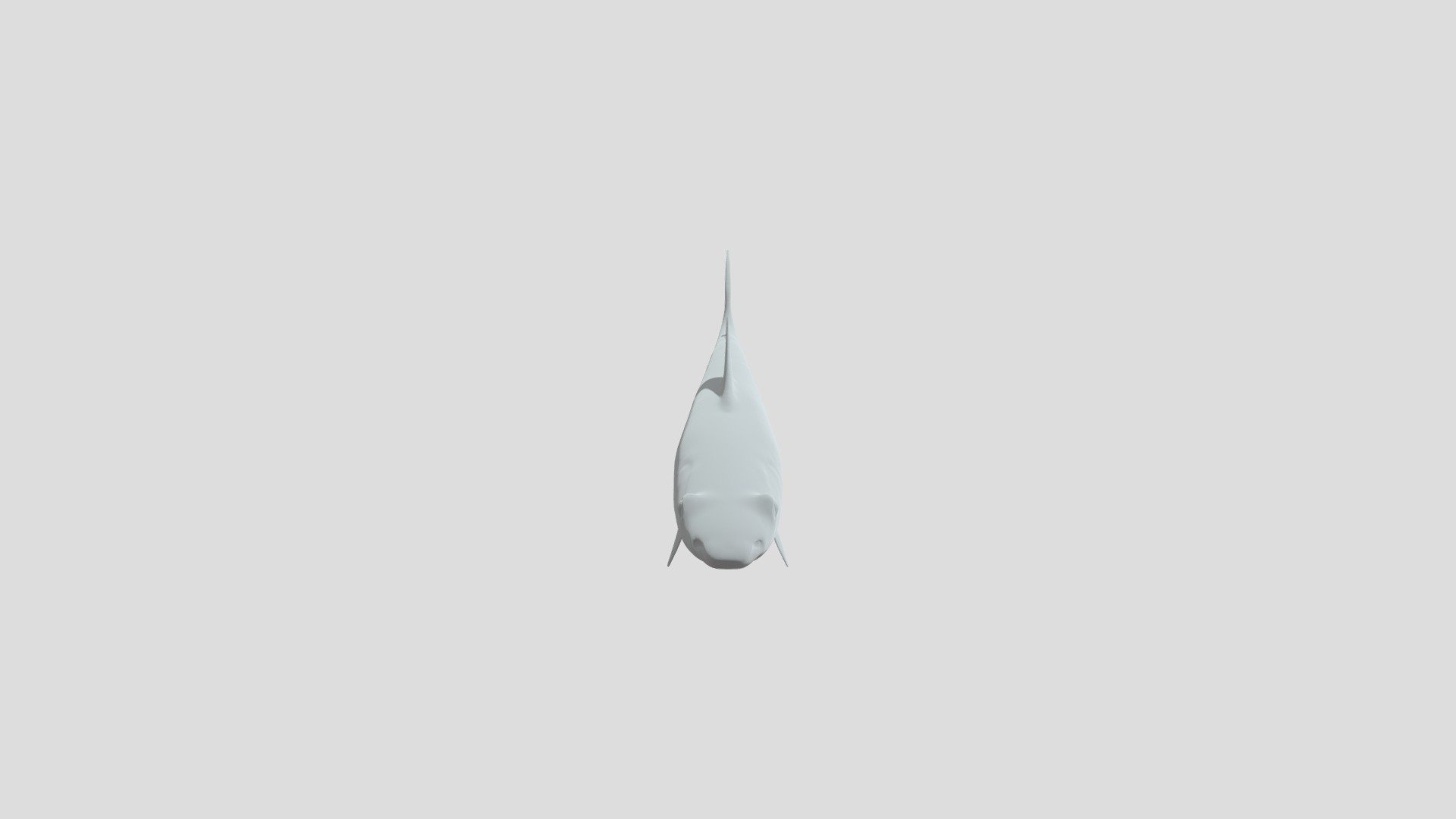 shark sculpt 11 2022
