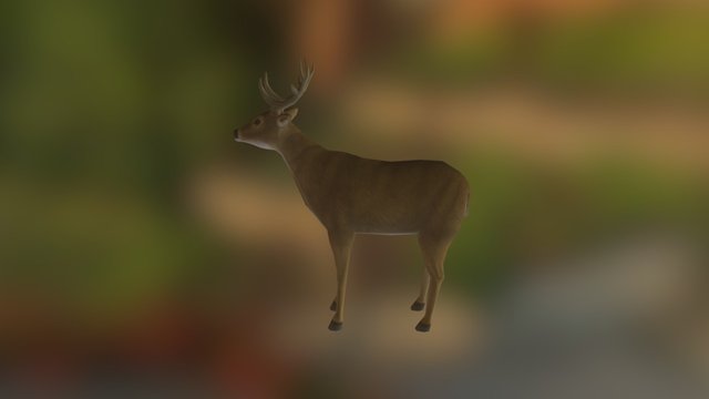 Venado 3D Model