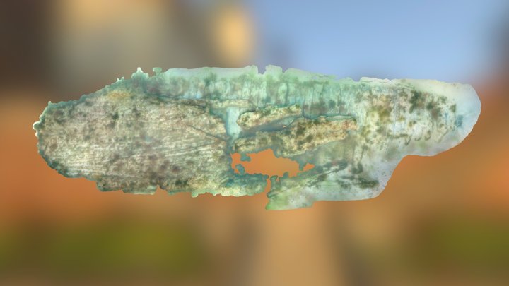 Rapid Photogrammety of the Poole Cannon Wreck 3D Model