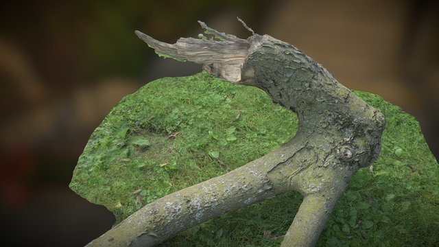 Big Log