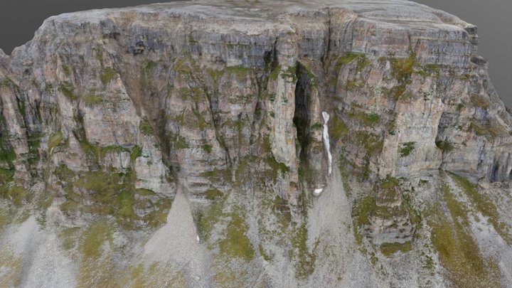 Bird Cliff 3D Model