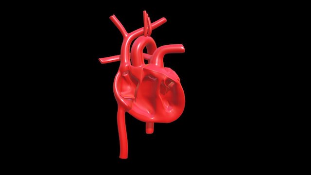 Heart Pump Internal 3D Model