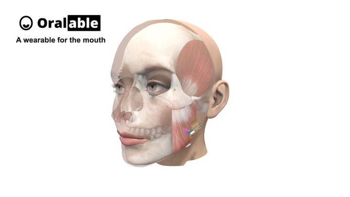 ORALABLE - CLENCHING DETECTION 3D Model