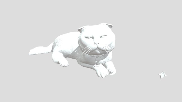 cat 3D Model