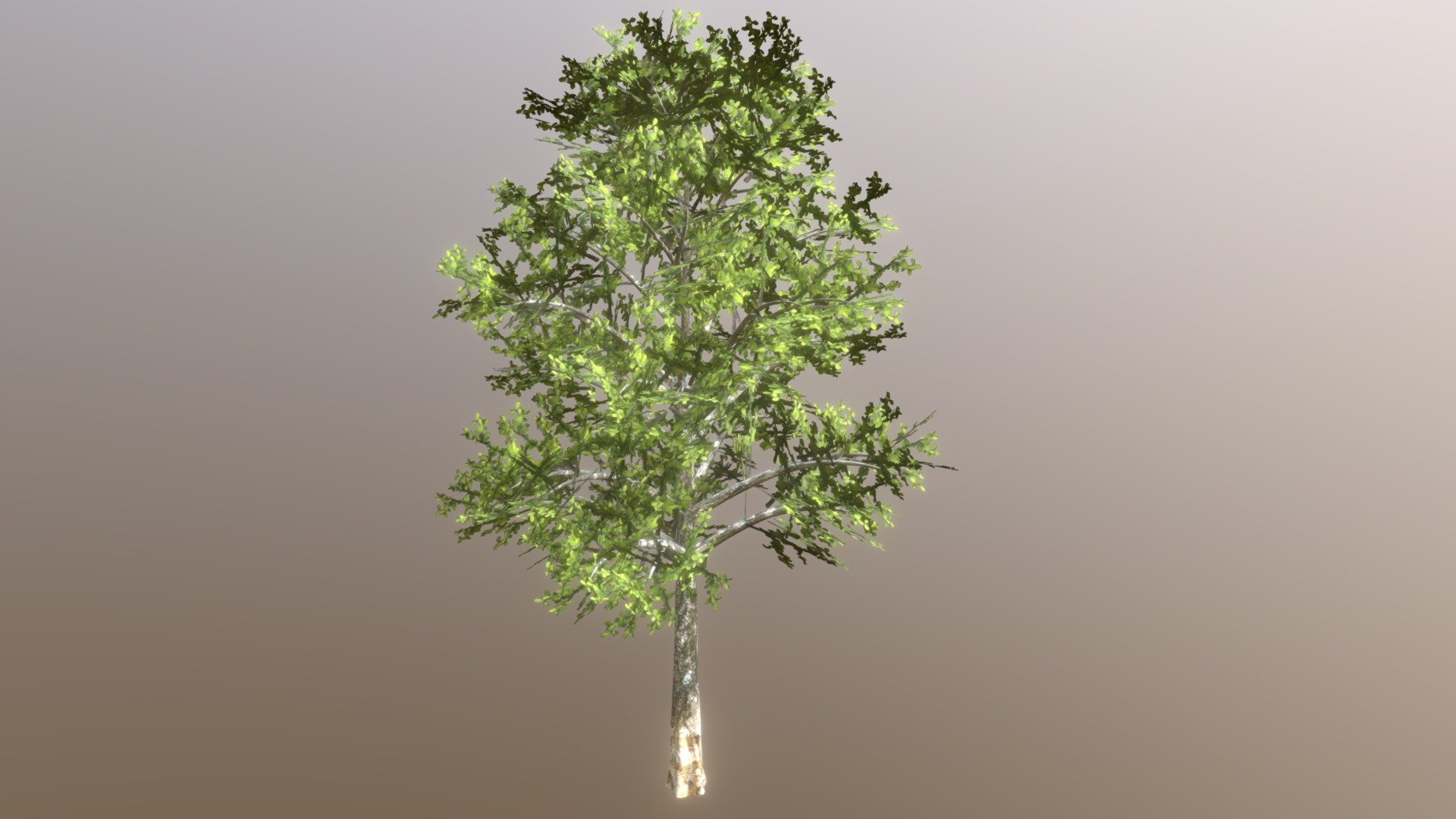 Low poly tree - Download Free 3D model by Chenuka Wijesundara ...