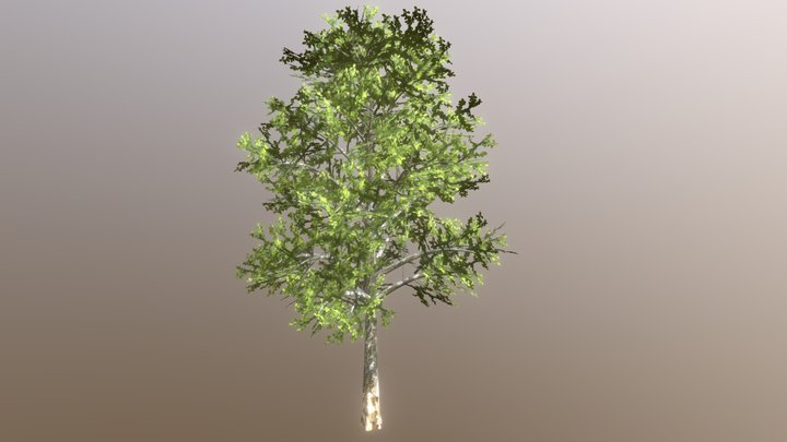 Low poly tree 3D Model