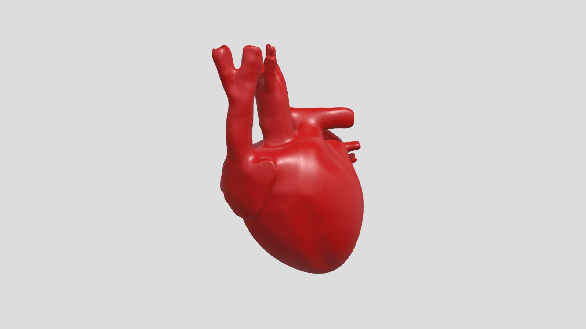 Human Heart - Download Free 3D model by Vikrama Raghuraman
