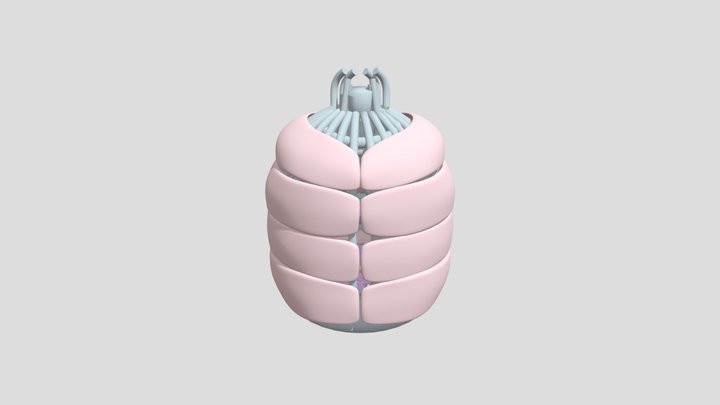 Insides of CTW Freddy by E.Breddy fbx port 3D Model