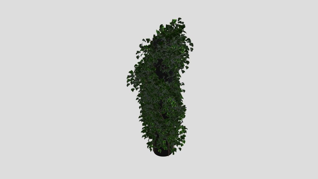 Simple Ivy Column Plant
