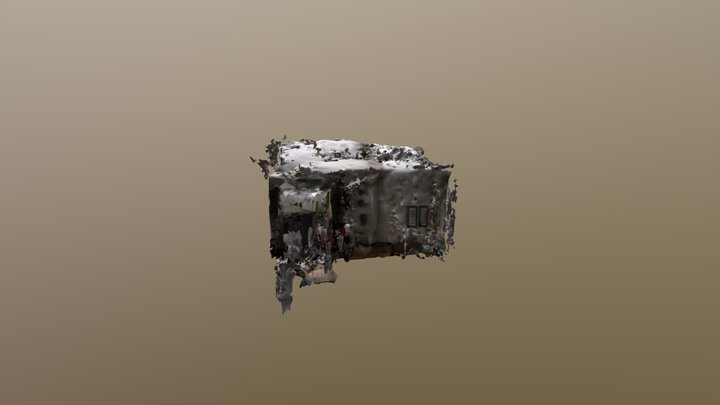Another random scan 3D Model