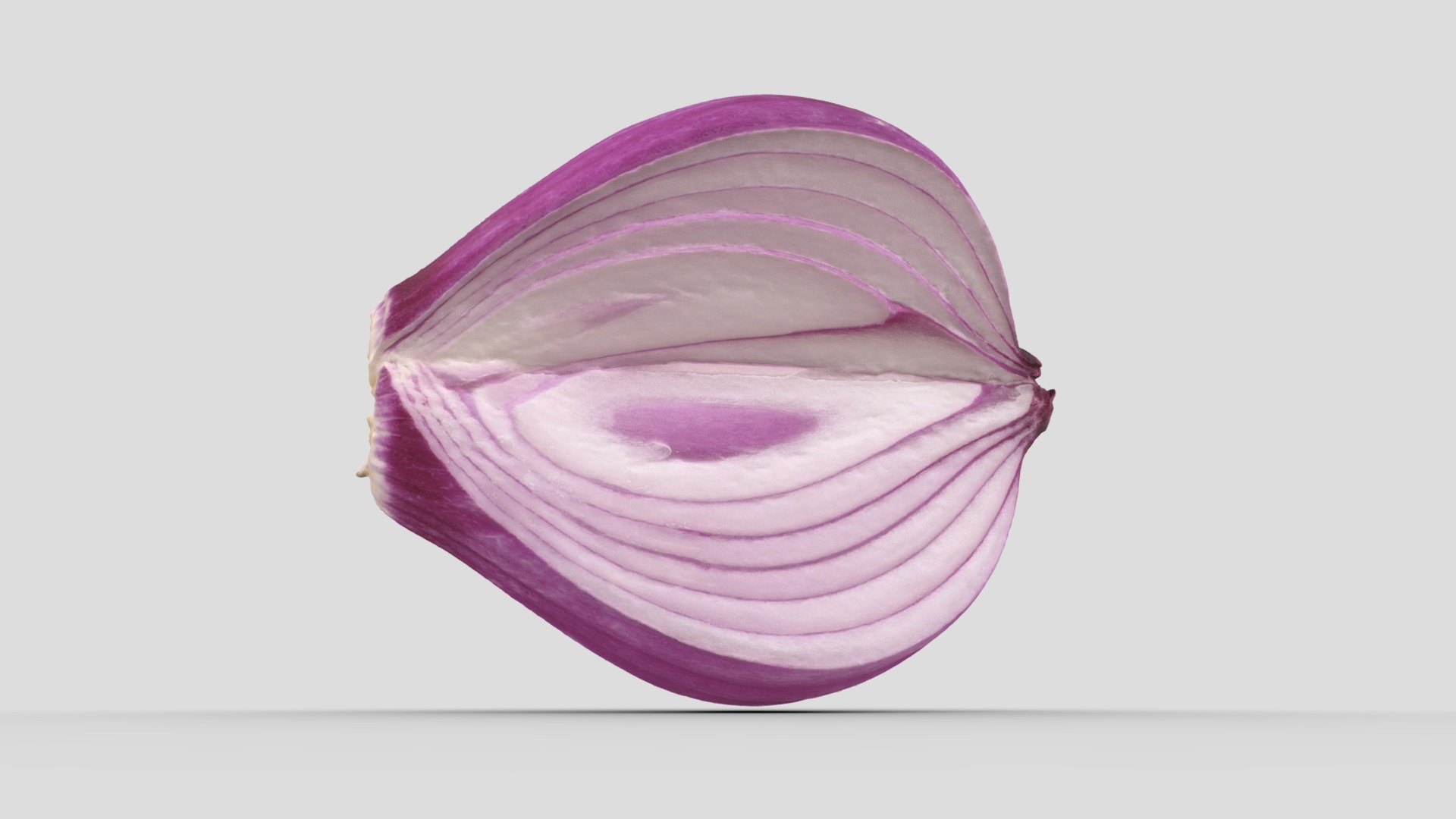 Purple Onion