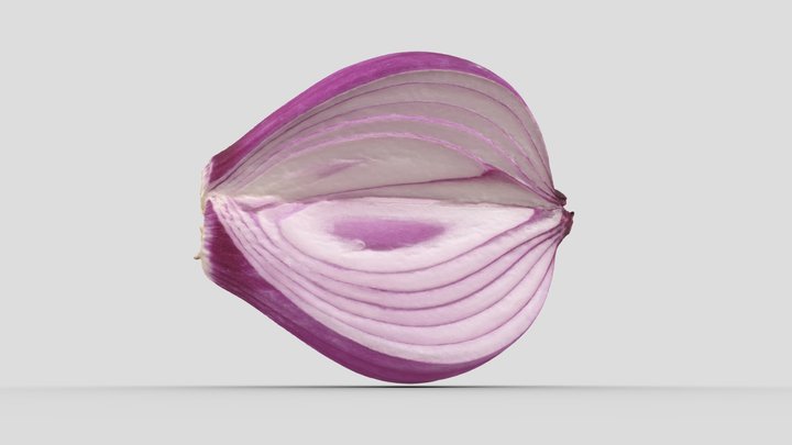 Purple Onion 3D Model