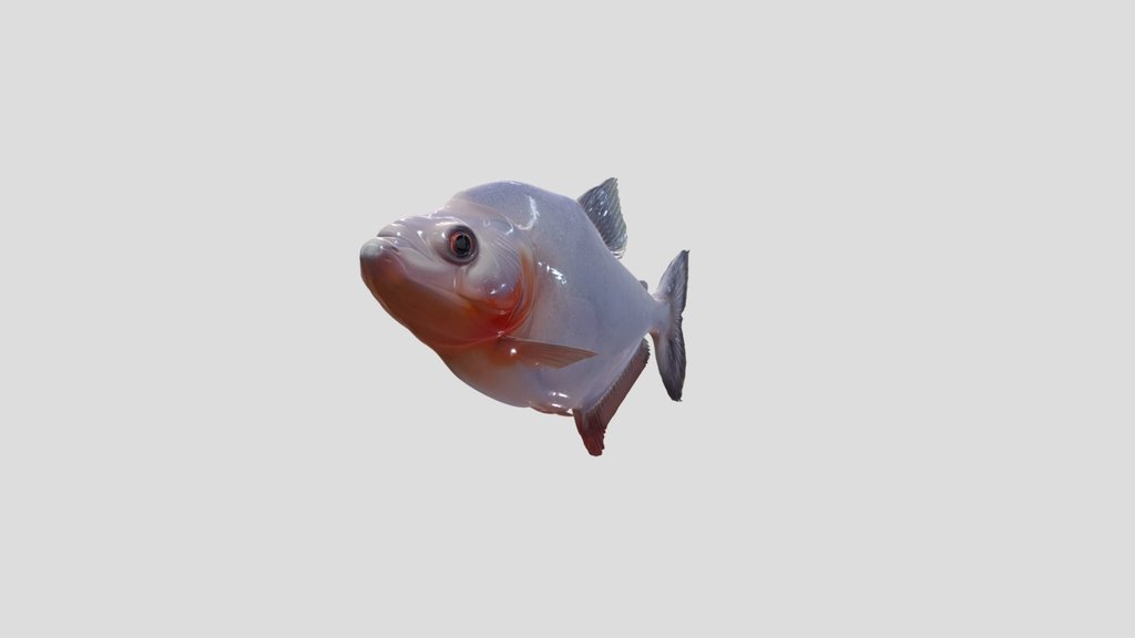 Oddysseus Piranha (Serrasalmus Odyssei)
