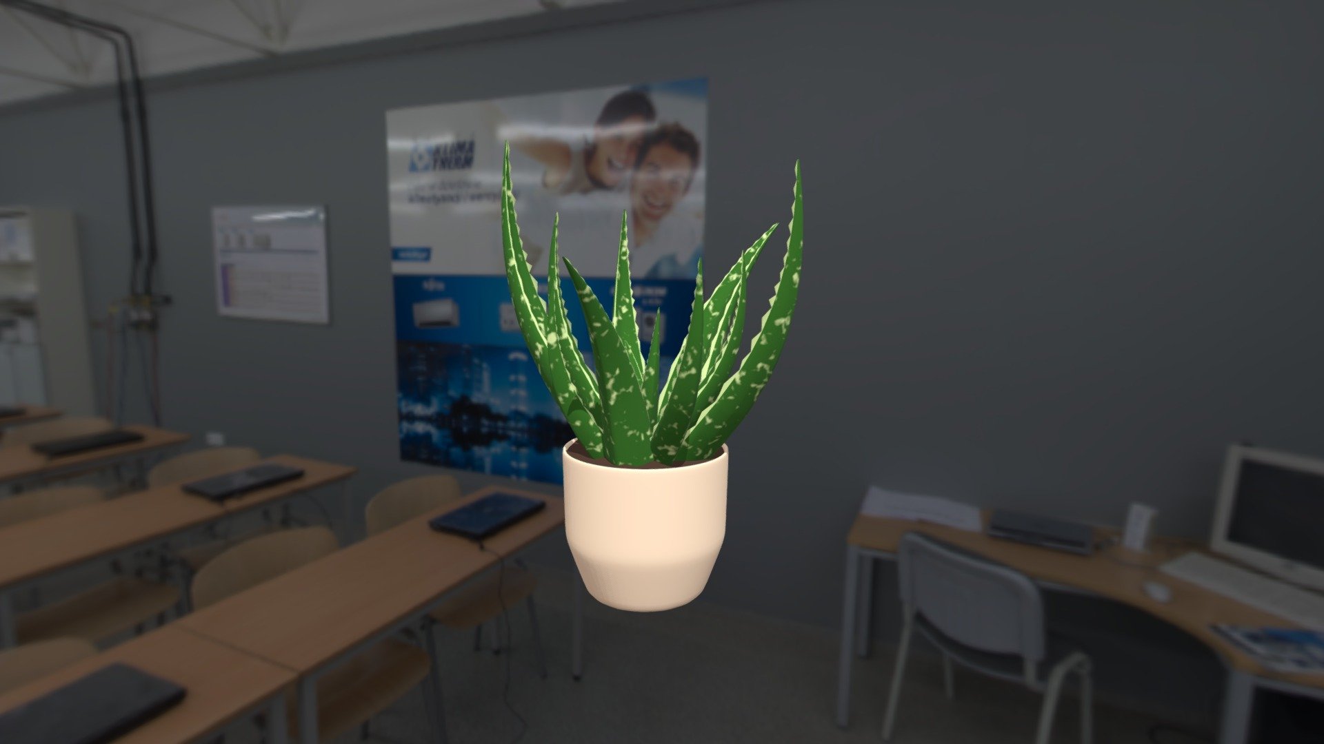 Aloe