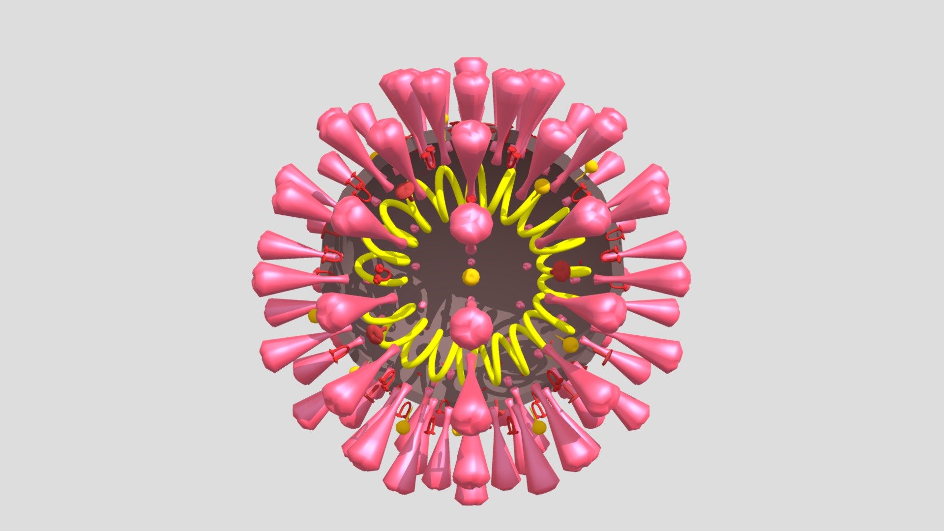 Coronavirus