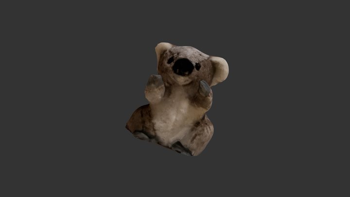 Coala1 Closed 3D Model
