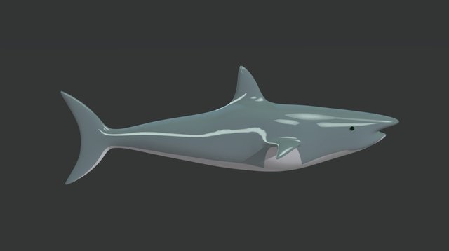 Shark Tutorial 3D Model