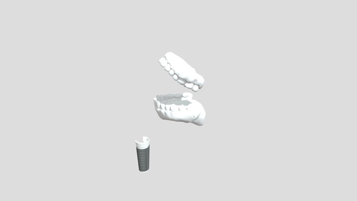Zub 3D Model