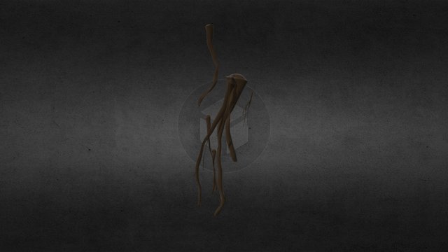 Smallground Roots 3D Model