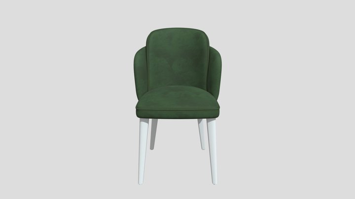 NASRIN 2 3D Model