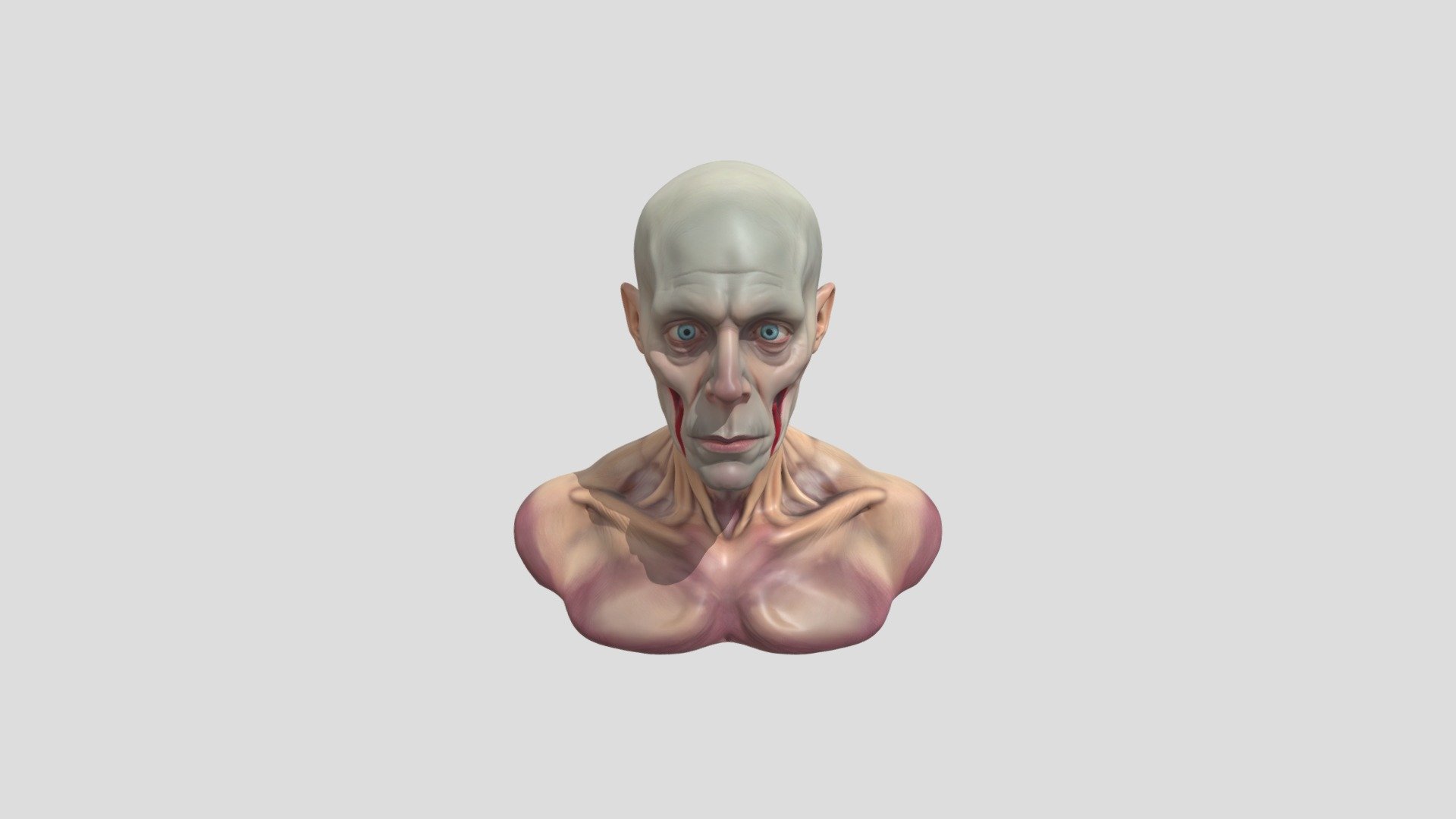 Front-facing human. - 3D model by Damltbobby [71121f4] - Sketchfab