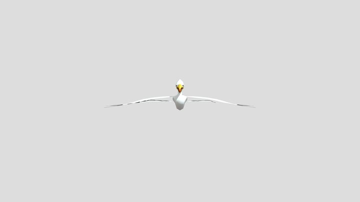 White Bird