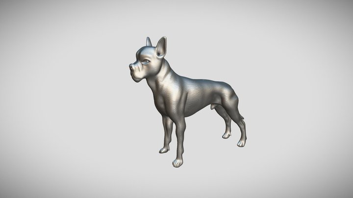 Dog 3D Model