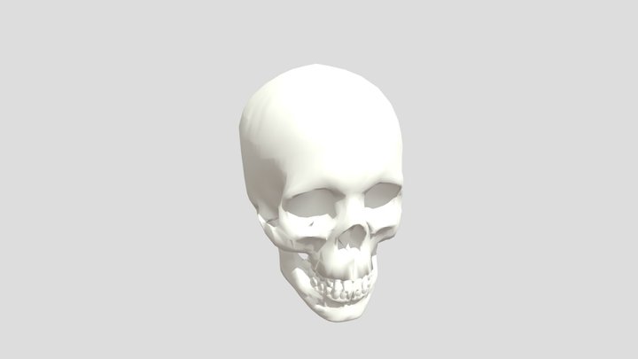 B6k6d23j7eo0-skull 3D Model