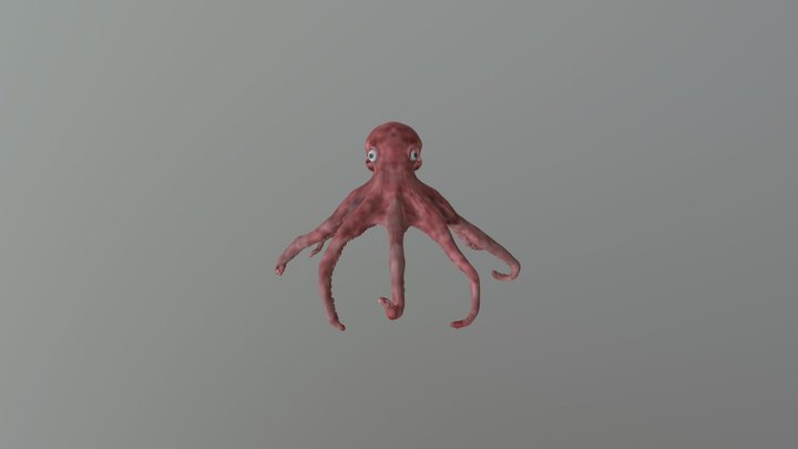 OctopusWithColor 3D Model