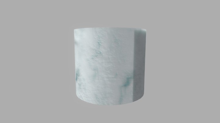 Snow 3D Model