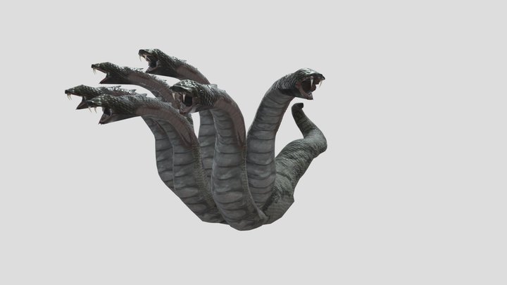 Hydra 3D Model
