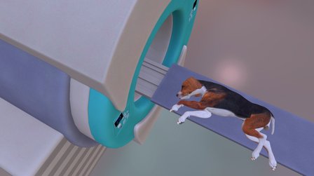 MRI Positioning - RT Shoulder 3D Model
