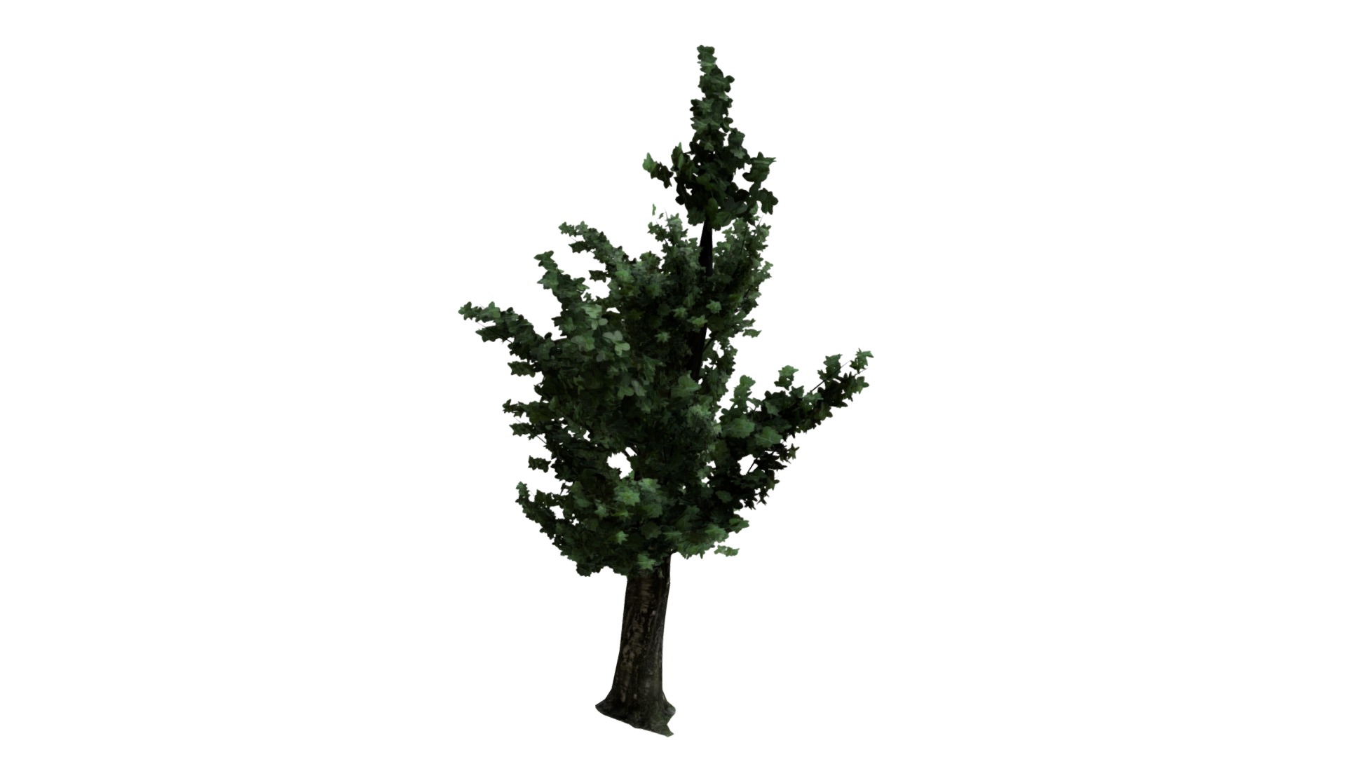 3D model Tree - This is a 3D model of the Tree. The 3D model is about a tree with green leaves.