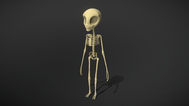 Alien 3D Model