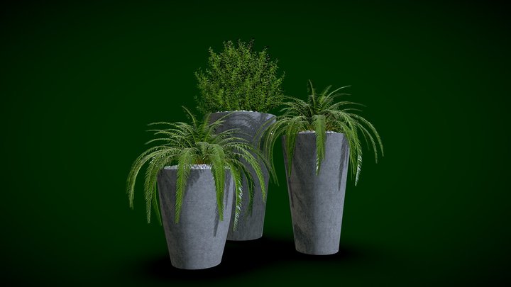 Fern and Boxwood Planter pots 3D Model