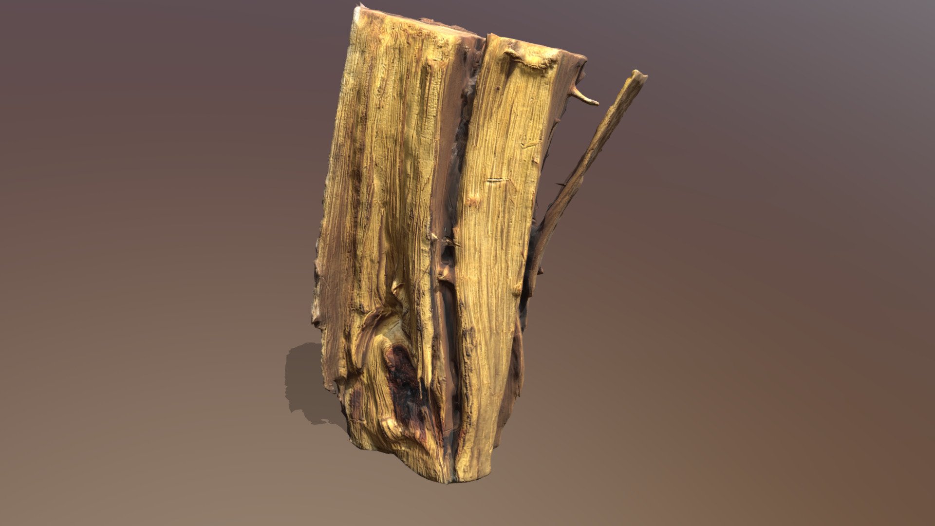Cutted Log Firewood