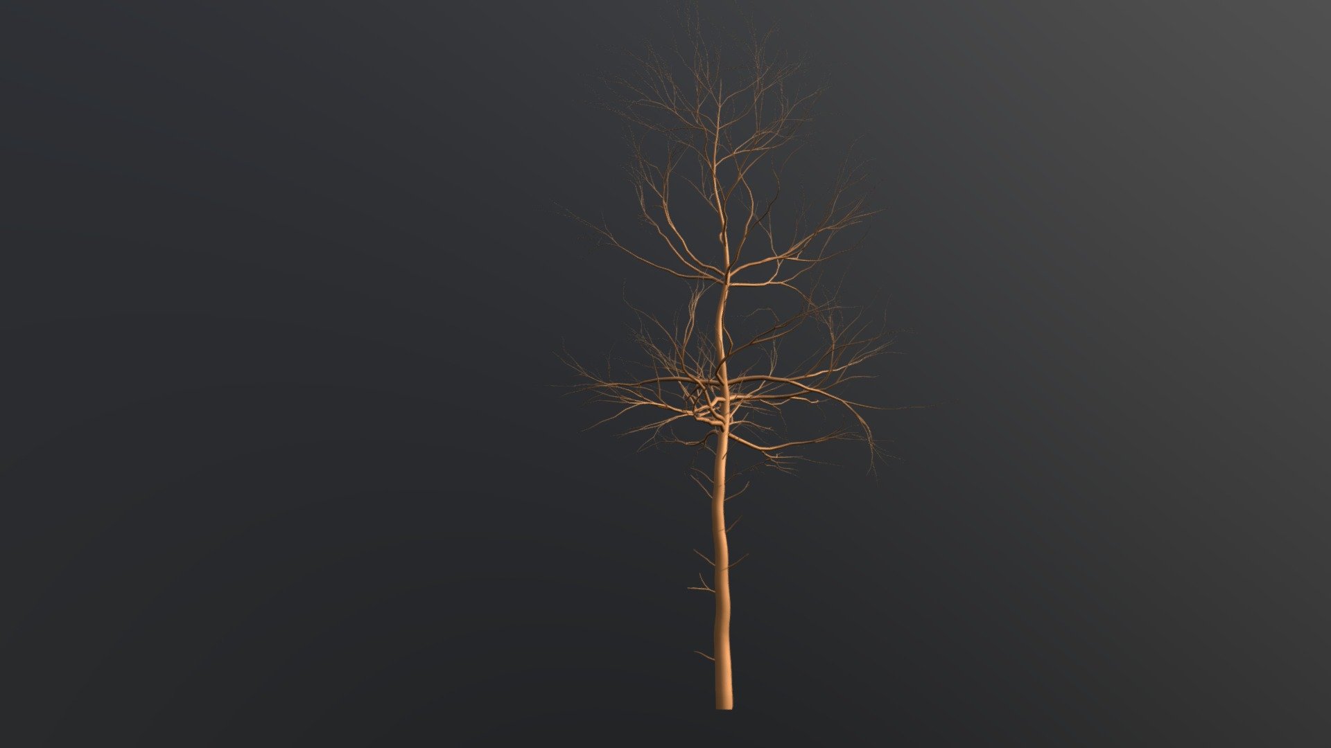 tree without leaves ,Low Poly