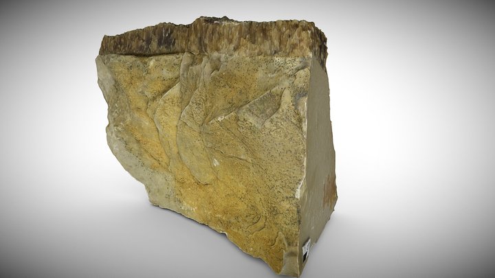 Joints in Solnhofen Limestone 3, Germany