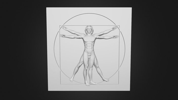 Uomo Vitruviano 3D Model